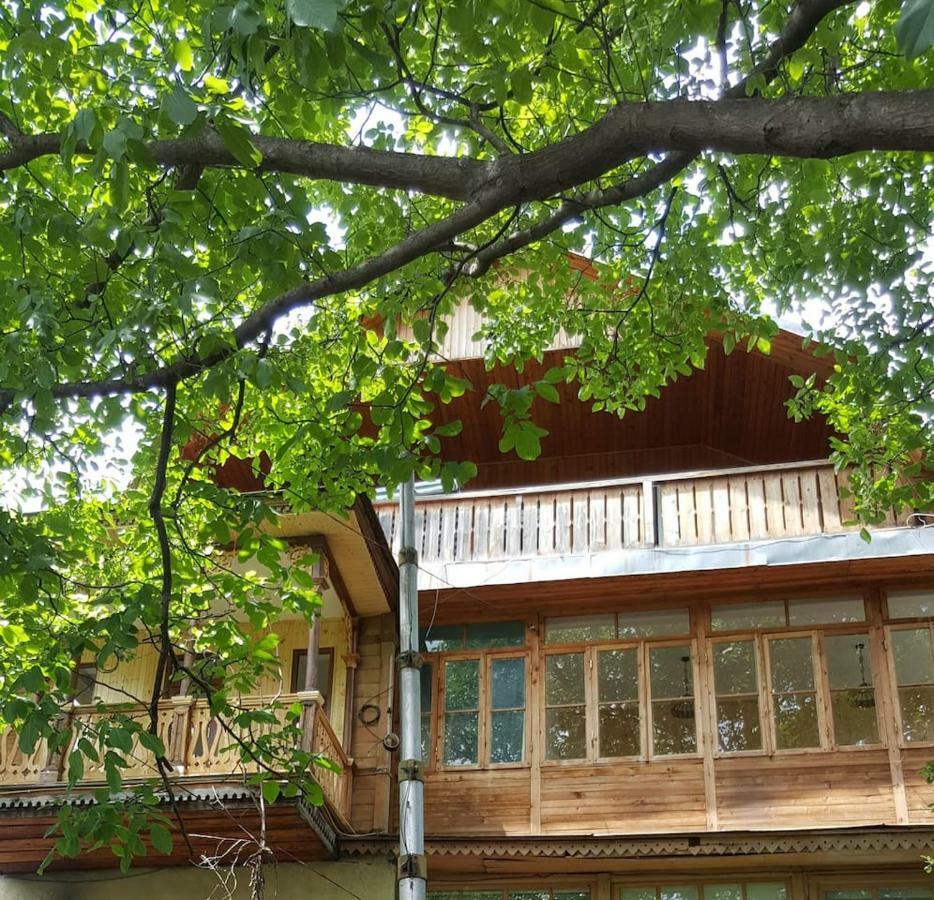 Hillside Orbeliani Residence Bordzjomi Buitenkant foto